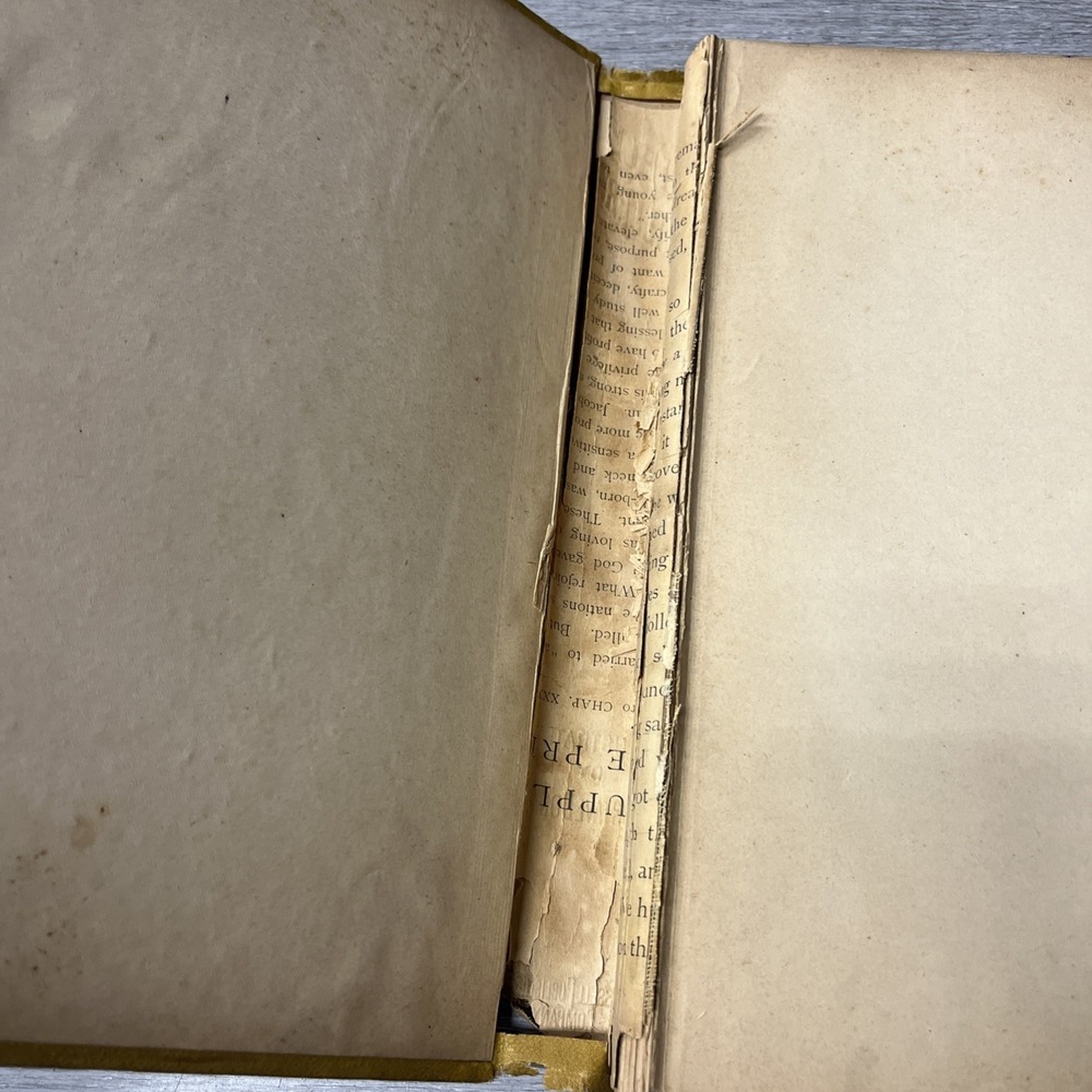 The Dore Bible Gallery 100 Illustrations by Gustave Dore No Date Circa 1880 - Picture 3 of 10